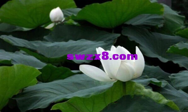6bd5ab070f59a0c38b842d9cbeb336b4.jpg